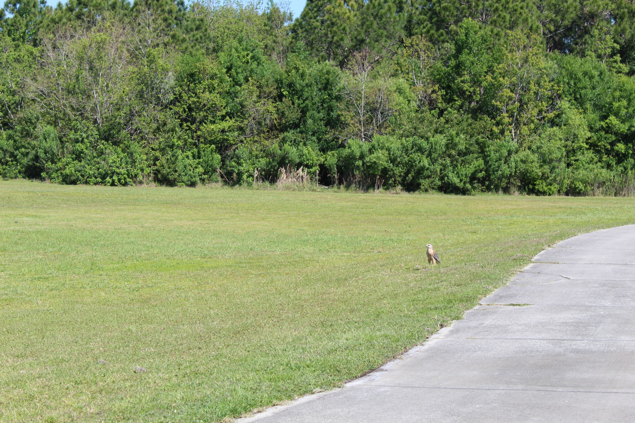 Golf Tournament 2024 96