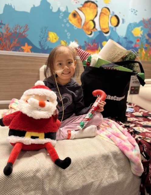 Christmas Picture